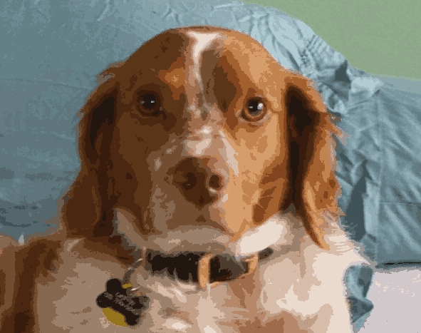 Generated needlepoint pattern for Griffin